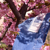 桜 on BLUE SAKURA